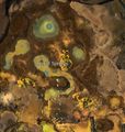 Thumbnail for version as of 15:45, 1 October 2017