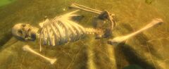 Unfortunate Adventurer.jpg