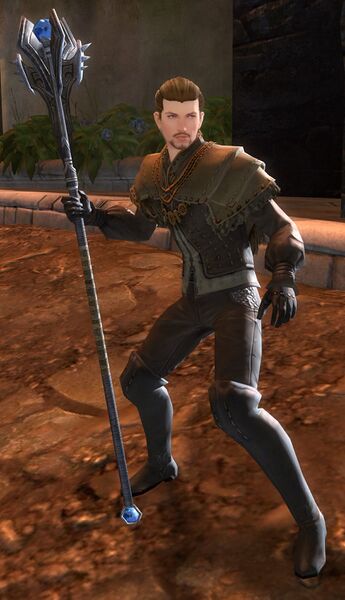 File:Veteran Ascalonian Healer (human).jpg