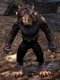 Ash Legion female 1.jpg