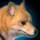 Desert Shiba.png