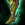 Dryad Boots.png