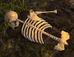 Dusty Bones (Harathi Hinterlands).jpg