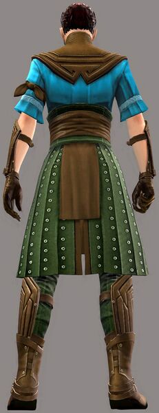 File:Gwen's Attire human male back.jpg