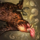 Mini Chickenado.png