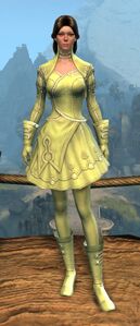 Appearance on light armor.