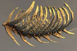 Primordial Leviathan Rib Cage- Curved.jpg