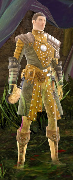 File:Shining Blade Recruit.jpg