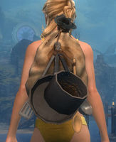 Simple Chef's Backpack.jpg