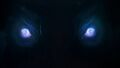 Thumbnail for version as of 07:28, 26 May 2022
