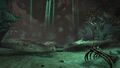 Skeletal remains (complete and partial) of leviathans of various sizes found on the Crypts of the Dreaming Dead.