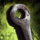 Climbing Piton, Never Used.png