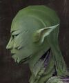 Exclusive face - sylvari male 1 side.jpg