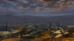 Forge Plains.jpg