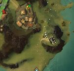 LaughingGullClue2.jpg
