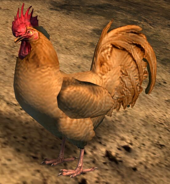 File:Light Brown Rooster.jpg