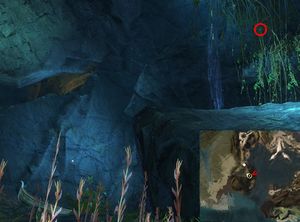 Lion's Arch Exterminator 34.jpg