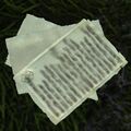 Page from Golem Admin Notes.jpg
