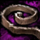 Rugged Leather Strap.png