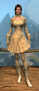 Appearance on light armor.