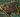 The Deadhouse map.jpg