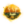 The Desolation.png