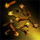 Varietal Clove Seed.png