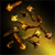Varietal Clove Seed.png