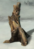 Ancient Sapling.jpg