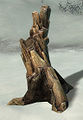 Thumbnail for version as of 13:40, 26 September 2012