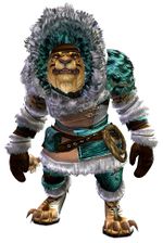 Arctic Explorer Outfit