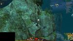 Aspect Gatherer 31 2021.jpg