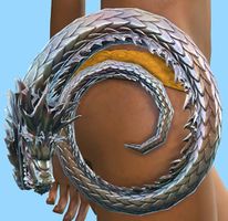 Dragon Spirit Focus stowed.jpg