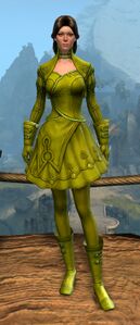 Appearance on light armor.