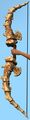 Leviathan Bone Longbow.jpg
