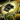 Mini Brine.png