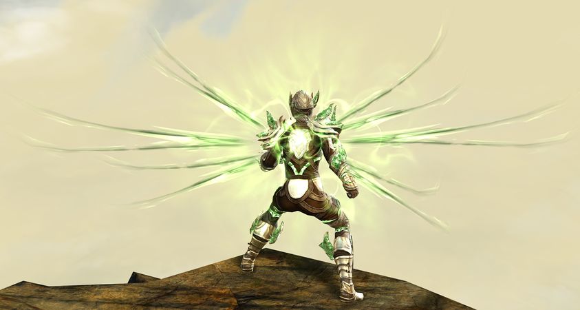 Back view in combat stance