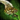 Orrian Glaive.png
