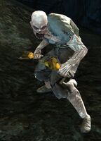 Risen Servant (alt).jpg