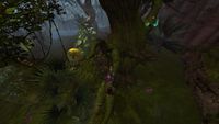 Up the tree