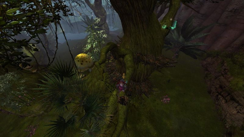 File:Salvation Pass Insight Path 1.jpg