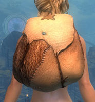 Sturdy Leatherworker's Backpack.jpg