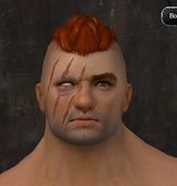 Unique norn male face front 2.jpg