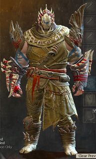 Woad armor (medium) norn male front.jpg