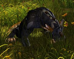 Adia Keenheart.jpg