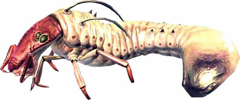 File:Bestiary Grub.jpg