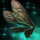 Dainty Bee Wings Glider.png