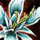 Gift of the Jungle.png