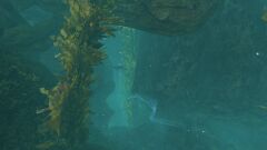 Greenroot Grotto Skimmerway.jpg