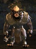 Iron Legion male 6.jpg